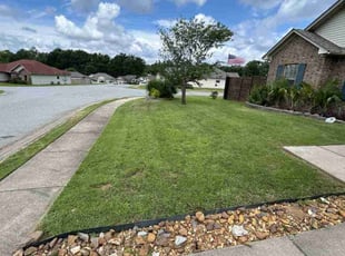 Anna P.'s turf maintenance service result