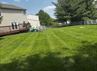 Eileen M.'s turf care service result