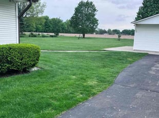 Misti A..'s turf care service result