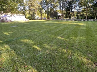 Jill o.'s grass maintenance service result