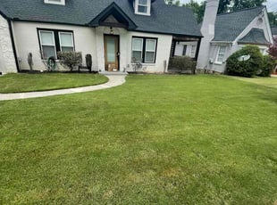Vicki C.'s landscaping service result