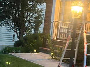 Shirley P.'s Bush Trimming service result