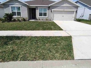 Nayoun L.'s lawn service service result