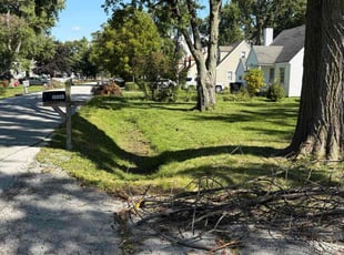 Ruby R.'s lawn care services service result