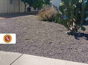 Jeanie L.'s grass maintenance service result