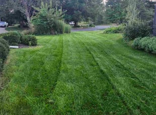 Jim M.'s lawn care service result