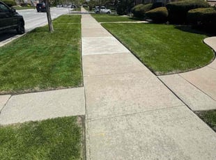 Shannon C.'s grass cutting service result