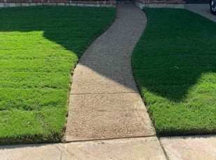 Janenne A.'s lawn service service result