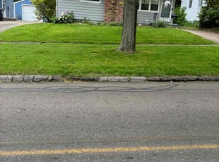Aaliyah H.'s turf maintenance service result