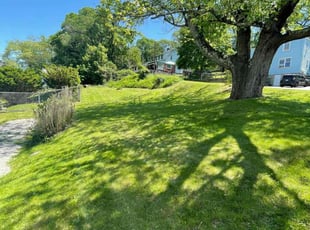 Dorisa S.'s turf maintenance service result