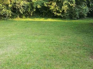 Hannah Y.'s lawn maintenance service result