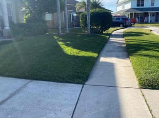 Miguel L.'s lawn care services service result