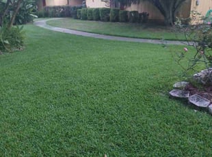 Linda K.'s lawn maintenance service result