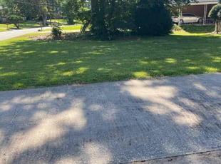Arsheilia O.'s lawn care service result