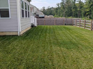 Naomi W.'s lawn care service result