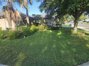 Carly G.'s landscaping services service result