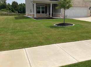 Patricia H.'s grass cutting service result