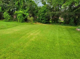 Melissa R.'s lawn service service result
