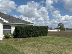 Kim D.'s Bush Trimming service result