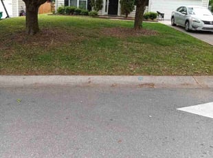 Monica E.'s lawn service service result