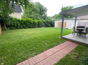 Molly A.'s grass cutting service result