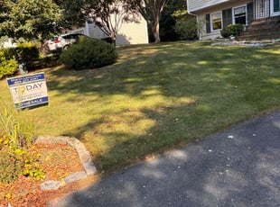 Arpit P.'s lawn maintenance service result