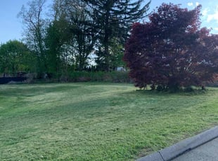 John H.'s grass maintenance service result