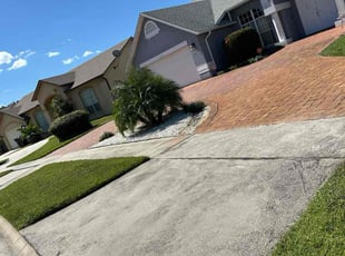 Trent F.'s turf care service result