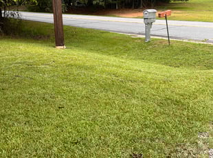 Dan W.'s lawn care services service result