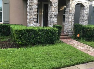 Amanda F.'s Bush Trimming service result