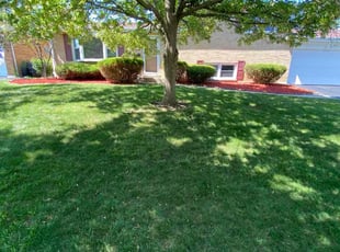 Zima G.'s Mulching service result