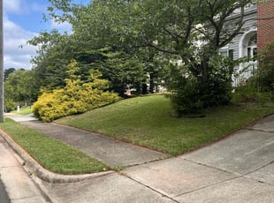 Austin O.'s grass maintenance service result