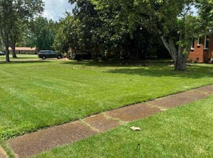 Nina C.'s lawn care services service result