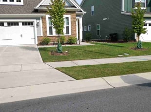 Christian K.'s turf care service result