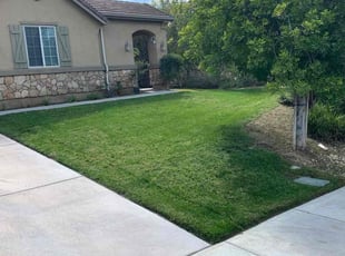 Xyla M.'s grass maintenance service result