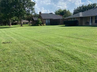 Shante R.'s lawn maintenance service result