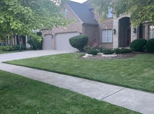 Vicki S.'s turf care service result