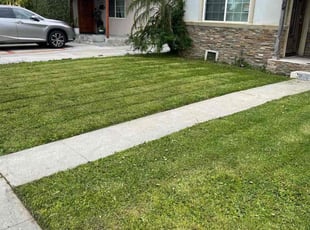 Tracy T.'s grass maintenance service result