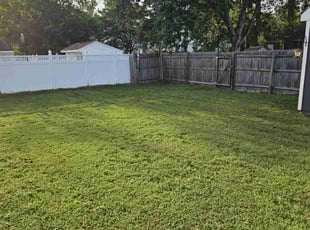 Dawn R.'s lawn care service result