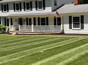Nicholas P.'s Mulching service result