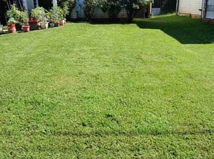 Evelyn J.'s lawn care services service result