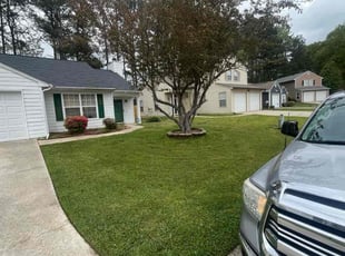 Sheilla P.'s lawn service service result