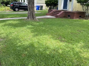 Patrick M.'s grass maintenance service result