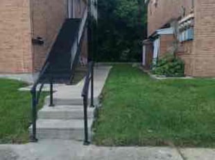 Daniel M.'s turf care service result