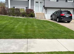 David C.'s grass maintenance service result