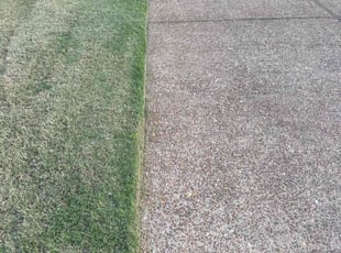 Odinaka E.'s grass cutting service result