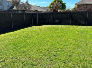 Rachel M.'s lawn service service result