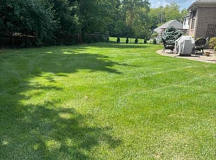 John S.'s lawn care service result