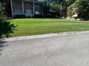 Sharon H.'s grass cutting service result