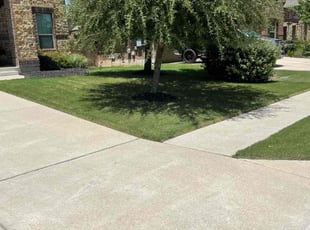 Margaret K.'s yard work service result